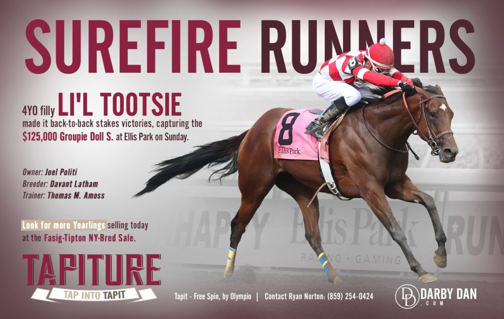 Tapiture Beliebtesten Fotos