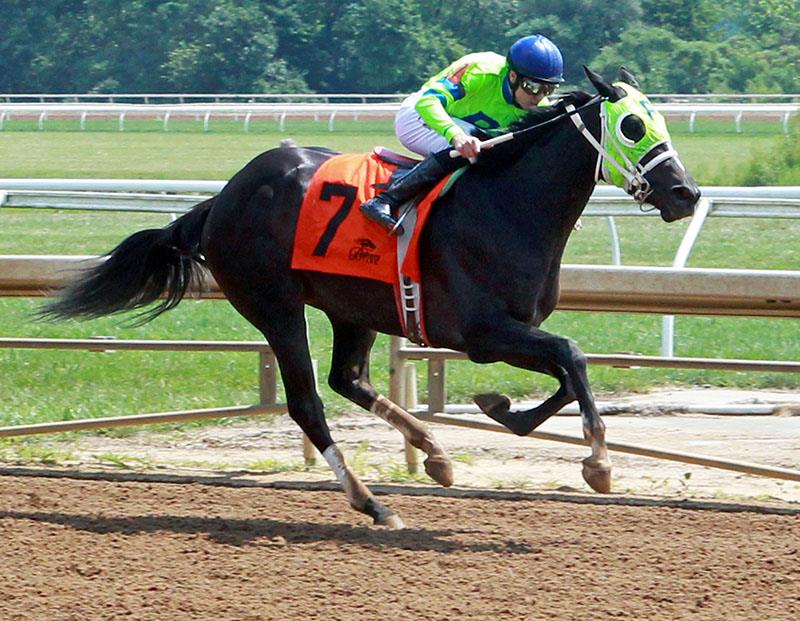 Tale of Ekati filly earns second stakes win of ’19