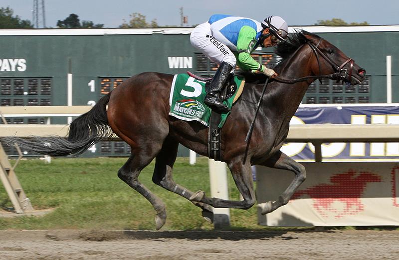 Chalon racks up fifth career stakes win