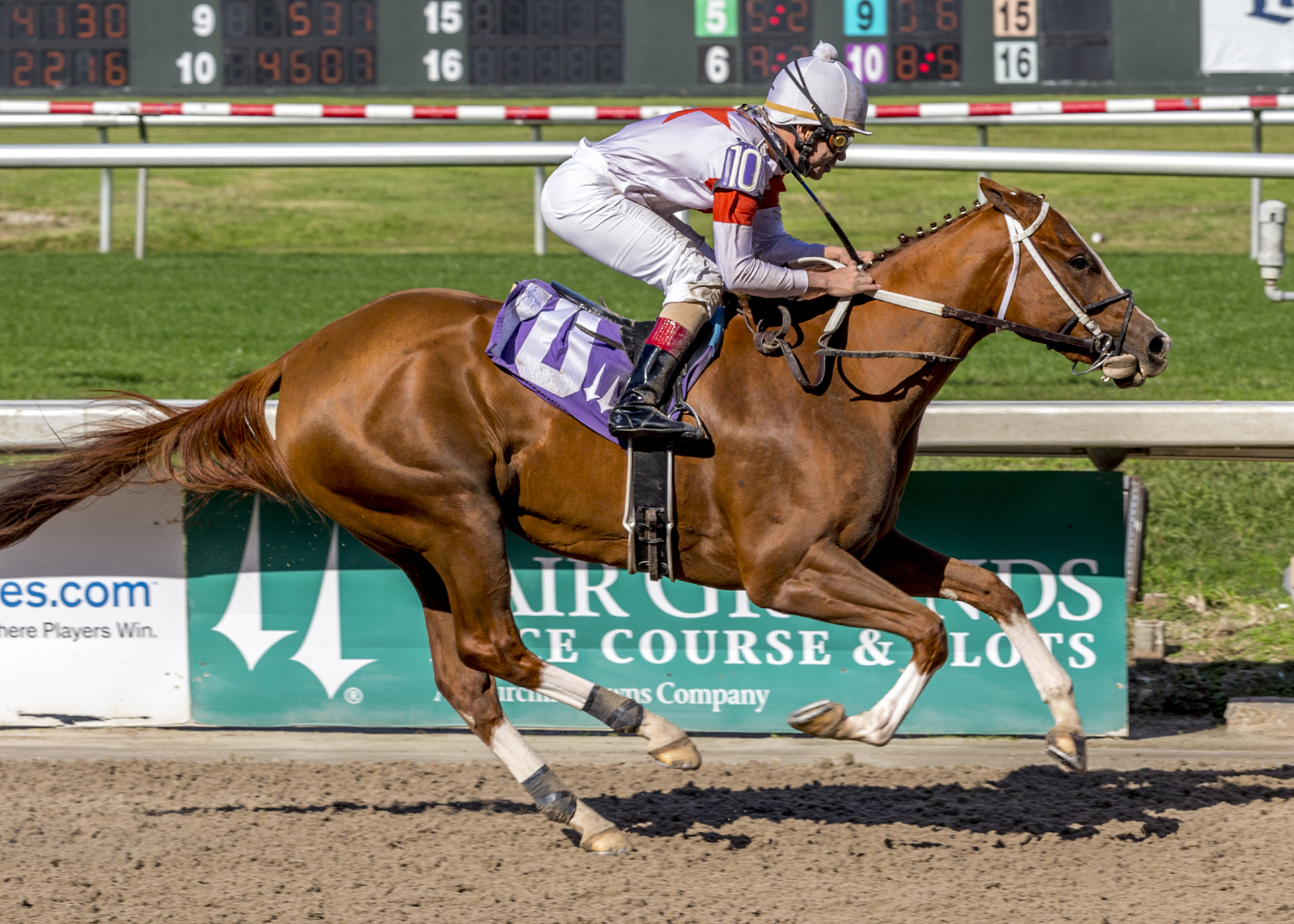 Tapiture filly rolls by six in career debut