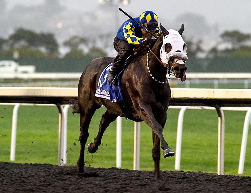 Mugaritz keeps rolling, wins $100,000 Berkeley H. (G3)