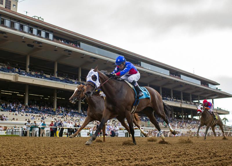 Shackleford mare gets third graded stakes win of 2019