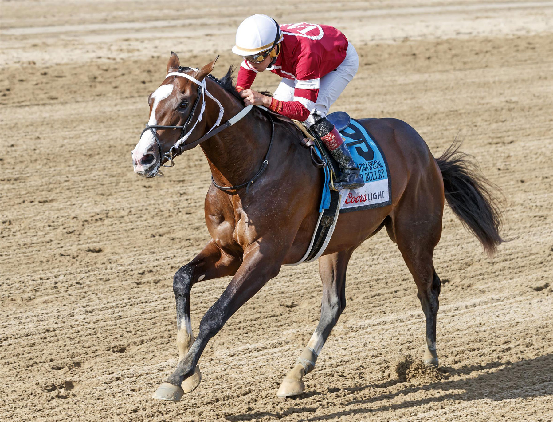 Copper Bullet Darby Dan Farm