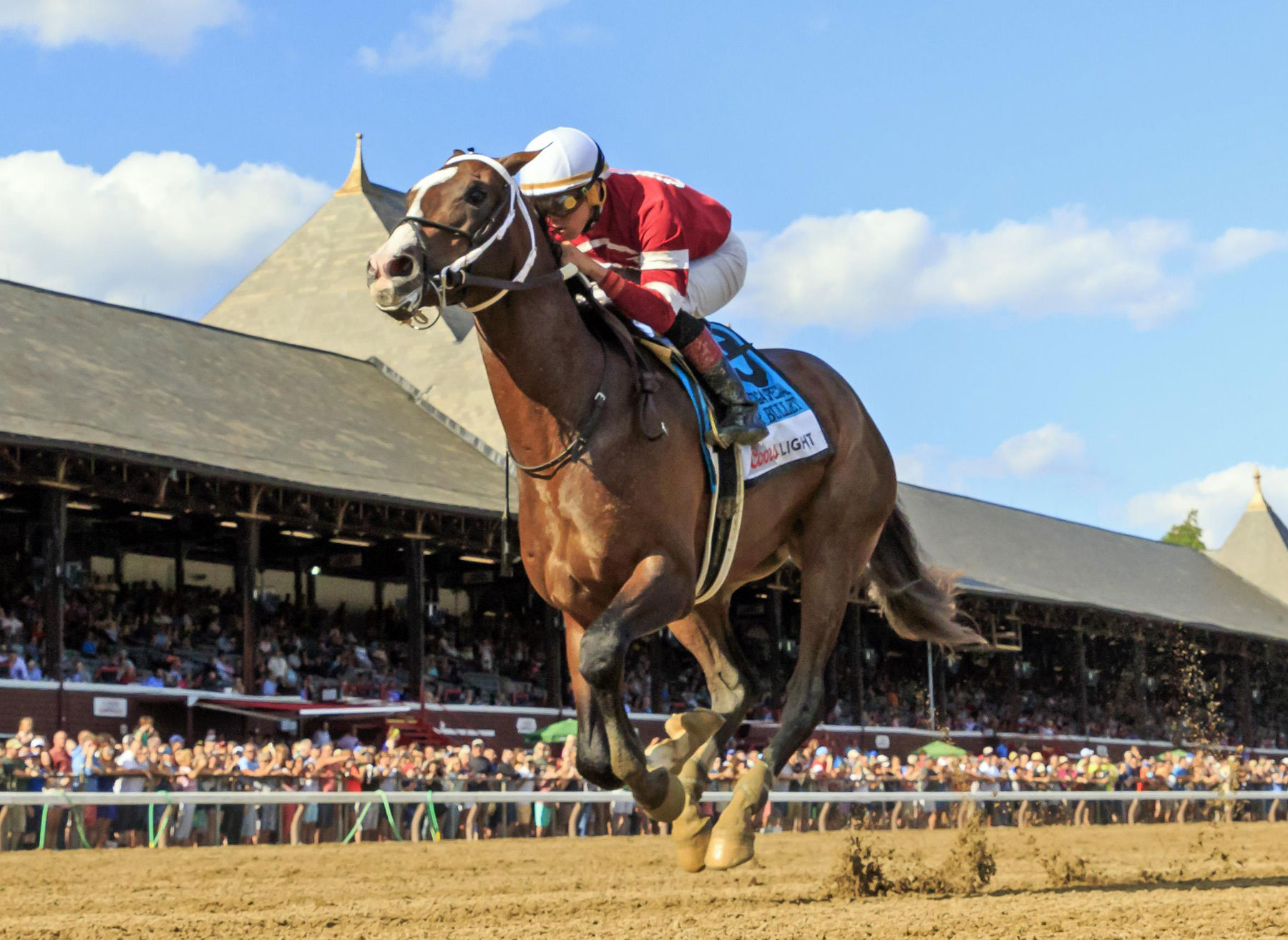 Copper Bullet Darby Dan Farm