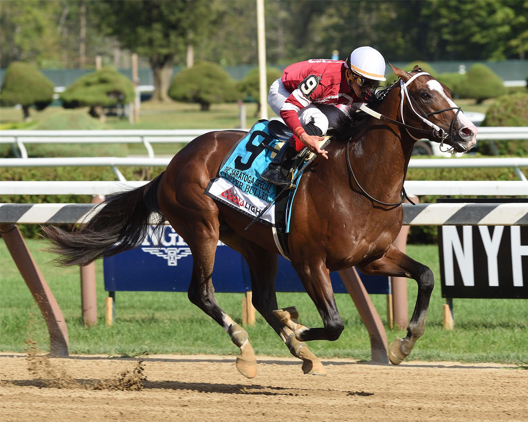 Copper Bullet retiring to Darby Dan Farm