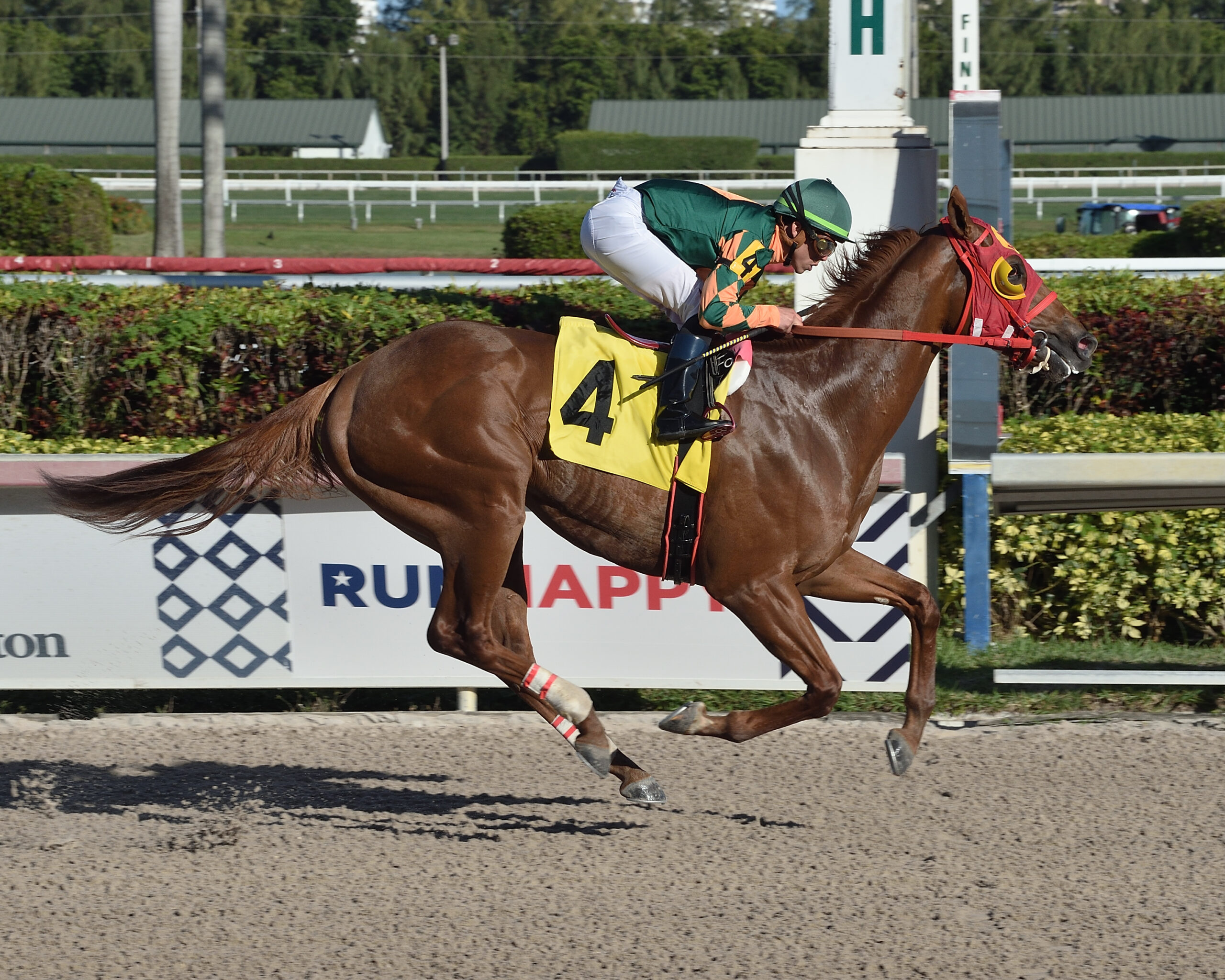 Undefeated Tapiture colt headed to Florida Derby (G1)