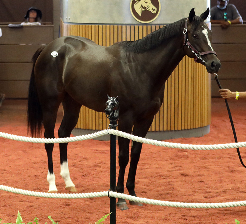 $350,000 filly for Dialed in at F-T Midlantic sale