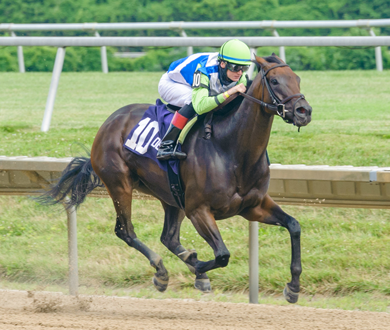 Dialed In’s Chalon back to stakes-winning ways