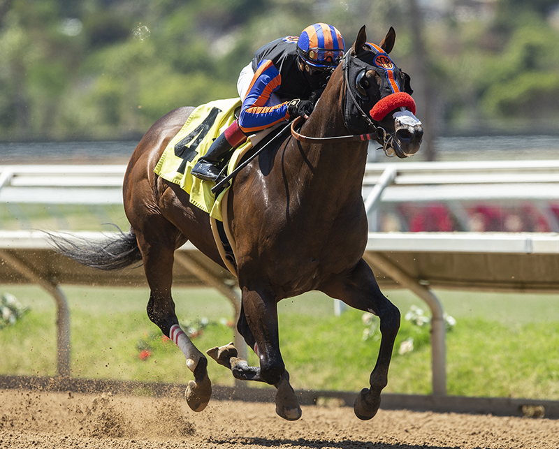 Tapiture’s Vertical Threat romps in stakes debut