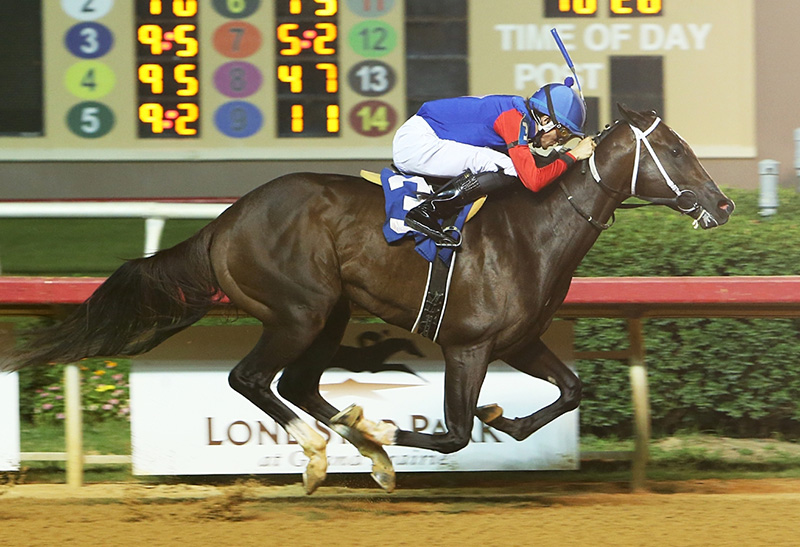 Dialed In 2yo breaks maiden in stakes debut