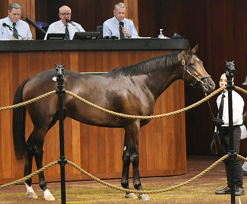 More strong results for Klimt at OBS June 2yo sale