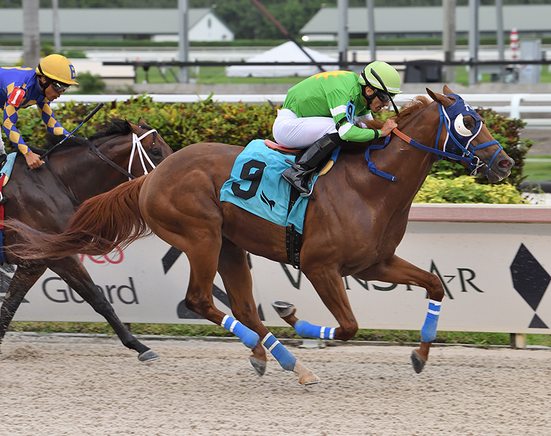 Papetu the second stakes winner of the week for Dialed In