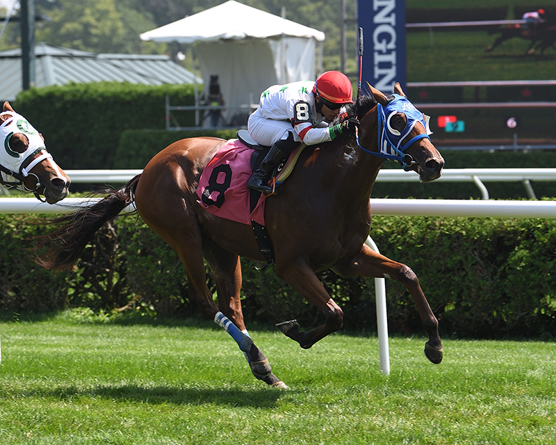 Latest Klimt winner scores in Saratoga turf MdSpWt