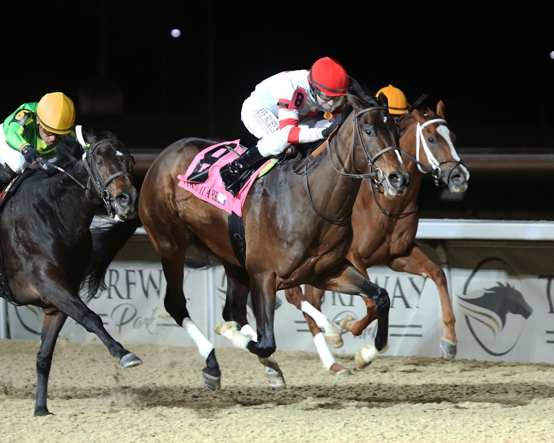 Bullseye Beauty zips to victory in the $100,000 Holiday Inaugural S.