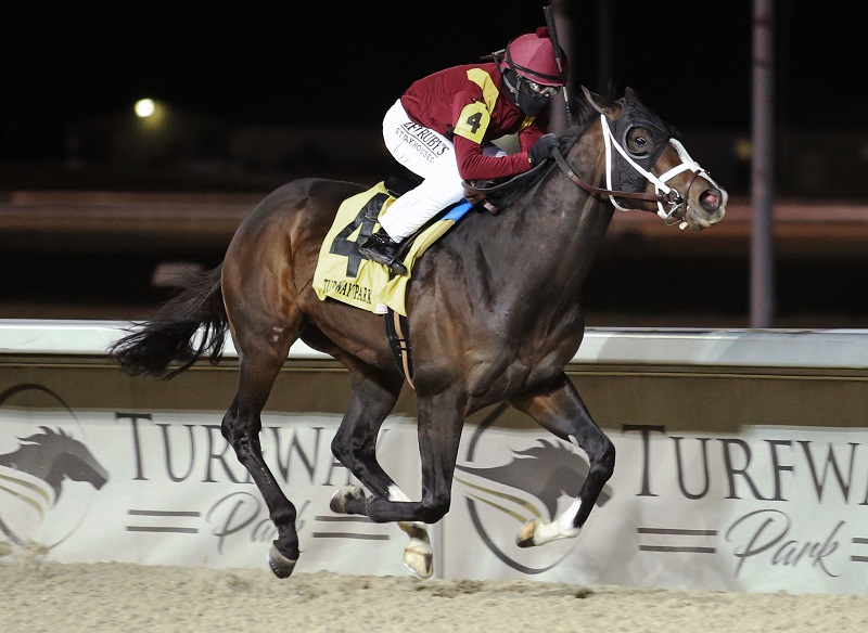 Dialed In’s Erase razor-sharp in debut stakes victory