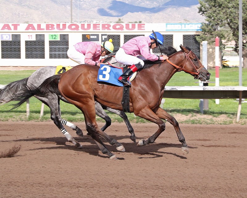 Pepper Spray shows his class in the Charles Taylor Derby