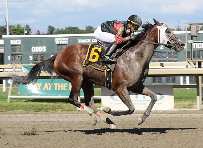 Remain Anonymous takes the spotlight in first stakes win