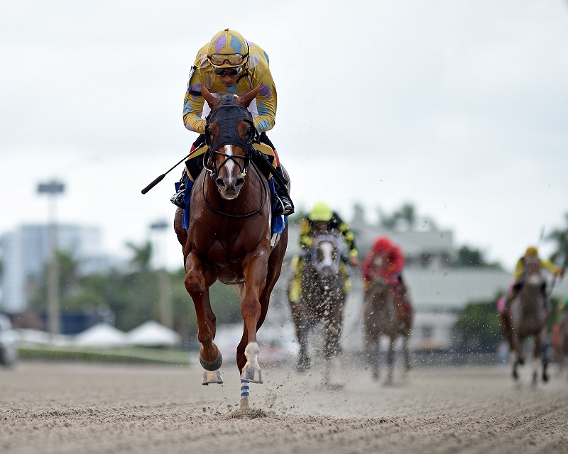 Infinite Diamond a romping winner at Gulfstream