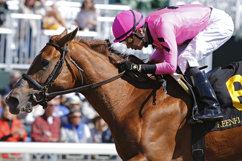 Jersey Pearl shines in Keeneland maiden special weight victory