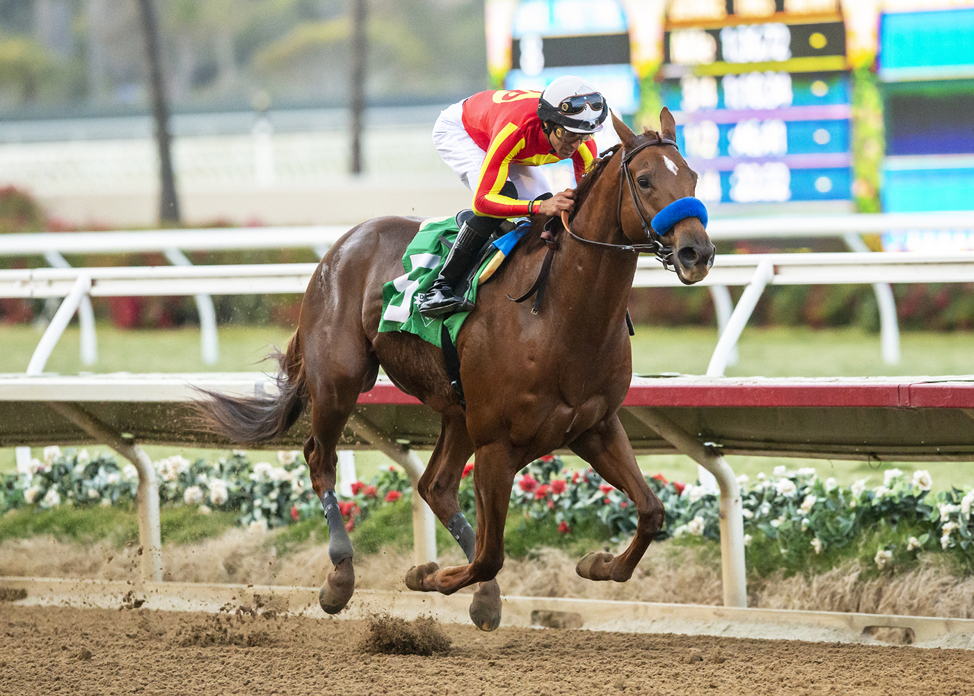 Defunded wins the 2022 Native Diver S. (G3) at Del Mar - © BENOIT PHOTO