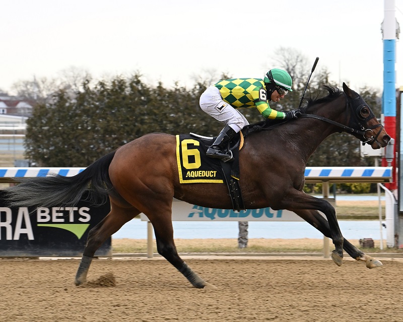 Repo Rocks winning the 2023 Toboggan S. (G3) - Susie Raisher/NYRA