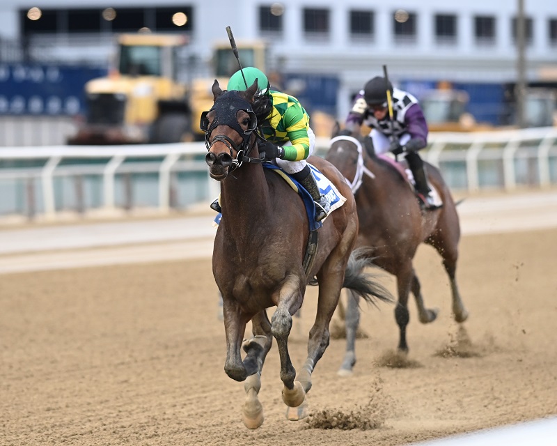 Repo Rocks is an easy winner of the 2023 Stymie S. - Chelsea Durand/NYRA