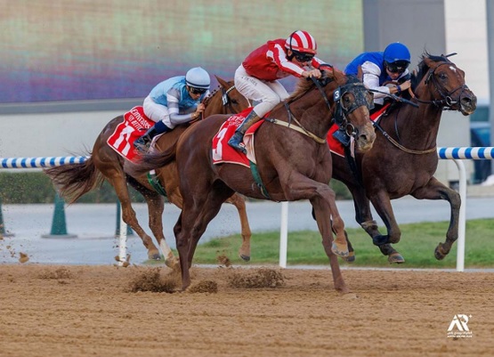 Go Soldier Go - photo courtesy of the Dubai Racing Club