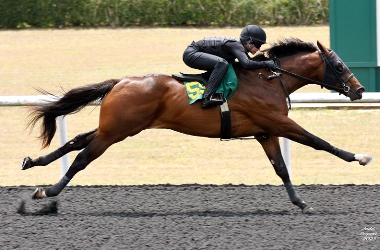 First Copper Bullet 2yo at OBS soars to 260,000 Darby Dan Farm