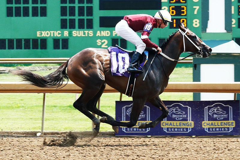 Copper Em glides to victory in her June 30 MdSpWt debut at Ellis Park - Coady photography