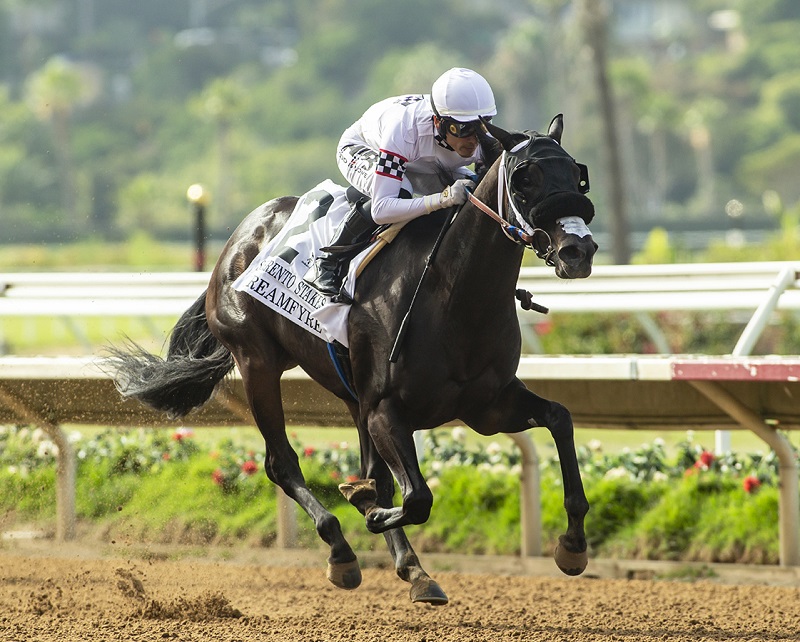 Dreamfyre wins the Sorrento S. (G3) Saturday, August 12, 2023 at Del Mar - Benoit Photo