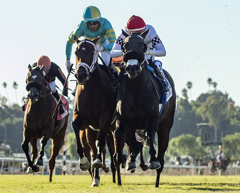 Dreamfyre (red cap) wins the battle in the stretch with Buttercream Babe to win the Grade III Surfer Girl S. - Benoit photo