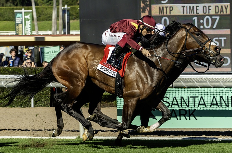 Dialed In’s Hiding in Honduras wins Mathis Mile (G2) in graded stakes debut